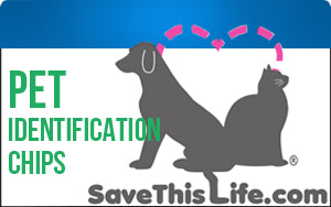 Pet identification chips can help safely return your pets if they become lost!